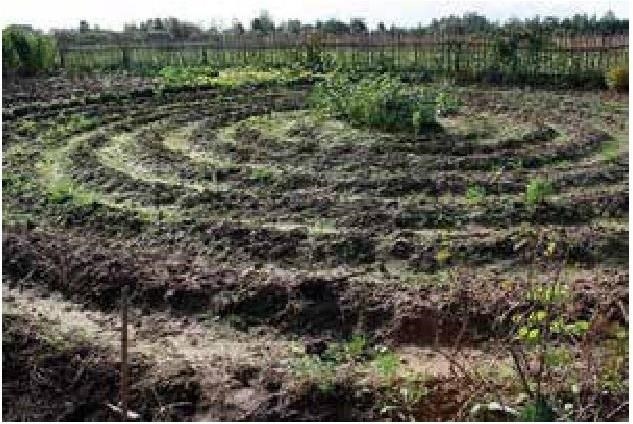 Иллюстрация к книге — Рабочий календарь дачника, или Рабочие будни на даче [b00000549.jpg]