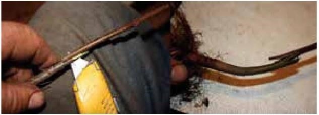 Иллюстрация к книге — Рабочий календарь дачника, или Рабочие будни на даче [b00000579.jpg]