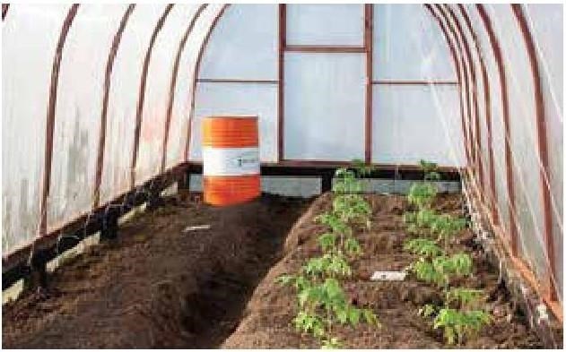 Иллюстрация к книге — Рабочий календарь дачника, или Рабочие будни на даче [b00000685.jpg]