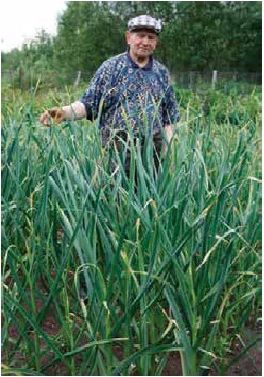 Иллюстрация к книге — Рабочий календарь дачника, или Рабочие будни на даче [b00001190.jpg]