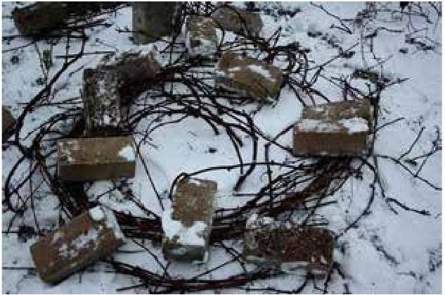 Иллюстрация к книге — Рабочий календарь дачника, или Рабочие будни на даче [b00001354.jpg]