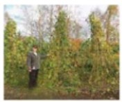 Иллюстрация к книге — Рабочий календарь дачника, или Рабочие будни на даче [img8893ff83f5784c99a73e0119dd8c6ec8.jpg]