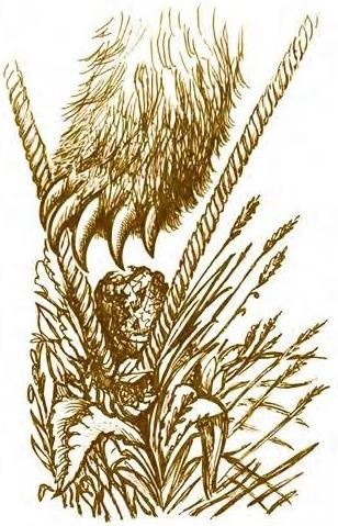 Иллюстрация к книге — Суворов &amp; бизнес. Стратегия без права на забвение [b00000025.jpg]