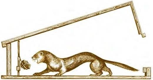 Иллюстрация к книге — Суворов &amp; бизнес. Стратегия без права на забвение [b00000028.jpg]