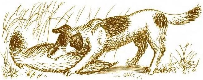 Иллюстрация к книге — Суворов &amp; бизнес. Стратегия без права на забвение [b00000280.jpg]