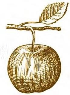 Иллюстрация к книге — Суворов &amp; бизнес. Стратегия без права на забвение [b00000286.jpg]