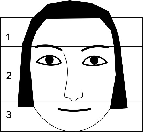 Иллюстрация к книге — Читай лица! Специальная методика чтения лиц и эмоций [i_162.jpg]