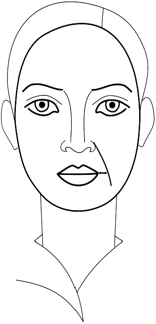 Иллюстрация к книге — Читай лица! Специальная методика чтения лиц и эмоций [i_244.jpg]