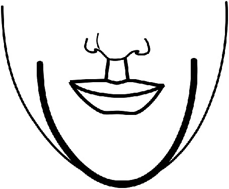 Иллюстрация к книге — Читай лица! Специальная методика чтения лиц и эмоций [i_269.jpg]