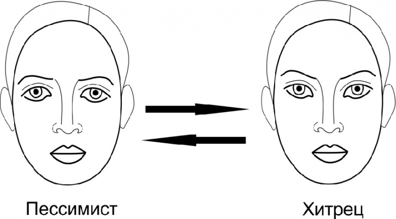 Иллюстрация к книге — Читай лица! Специальная методика чтения лиц и эмоций [i_311.jpg]