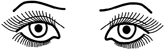 Иллюстрация к книге — Читай лица! Специальная методика чтения лиц и эмоций [i_362.jpg]