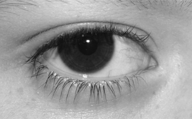 Иллюстрация к книге — Читай лица! Специальная методика чтения лиц и эмоций [i_367.jpg]