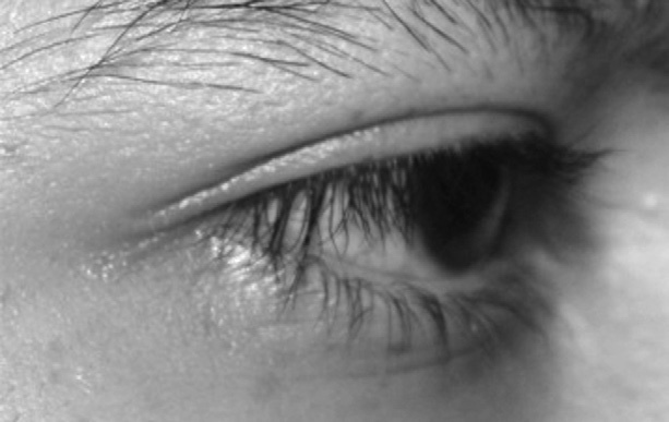 Иллюстрация к книге — Читай лица! Специальная методика чтения лиц и эмоций [i_368.jpg]