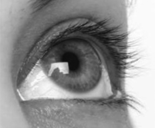 Иллюстрация к книге — Читай лица! Специальная методика чтения лиц и эмоций [i_371.jpg]