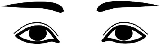 Иллюстрация к книге — Читай лица! Специальная методика чтения лиц и эмоций [i_381.jpg]