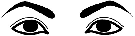 Иллюстрация к книге — Читай лица! Специальная методика чтения лиц и эмоций [i_393.jpg]