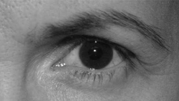 Иллюстрация к книге — Читай лица! Специальная методика чтения лиц и эмоций [i_406.jpg]