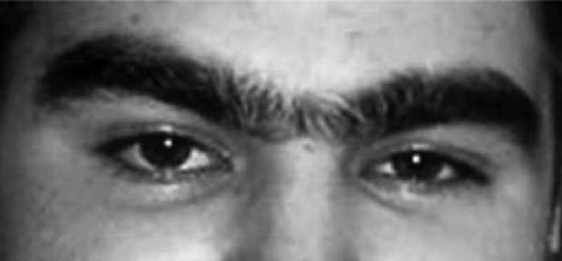 Иллюстрация к книге — Читай лица! Специальная методика чтения лиц и эмоций [i_410.jpg]