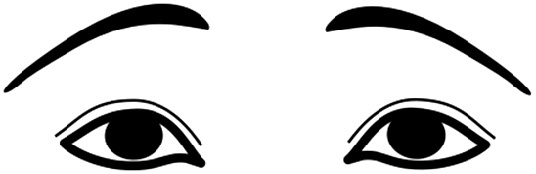 Иллюстрация к книге — Читай лица! Специальная методика чтения лиц и эмоций [i_417.jpg]