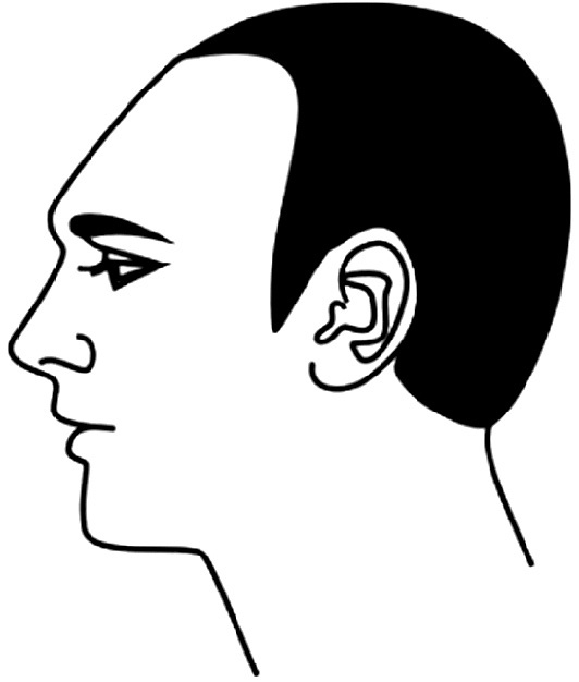 Иллюстрация к книге — Читай лица! Специальная методика чтения лиц и эмоций [i_432.jpg]