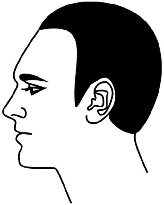 Иллюстрация к книге — Читай лица! Специальная методика чтения лиц и эмоций [i_433.jpg]