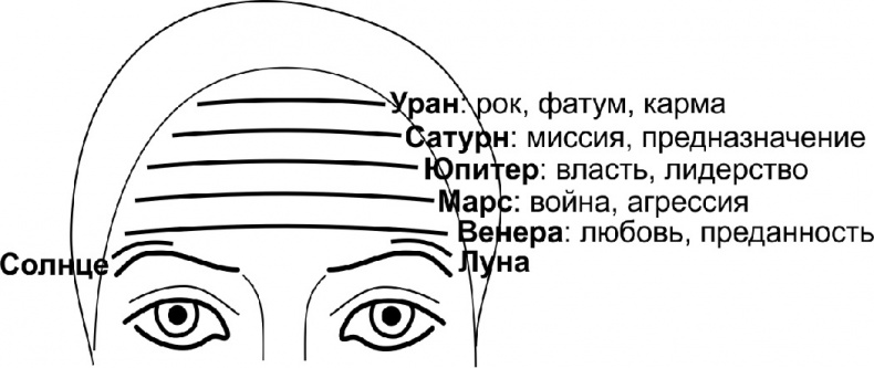 Иллюстрация к книге — Читай лица! Специальная методика чтения лиц и эмоций [i_440.jpg]