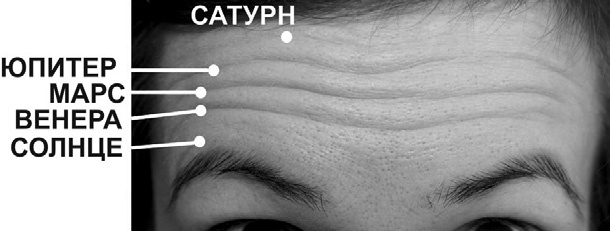 Иллюстрация к книге — Читай лица! Специальная методика чтения лиц и эмоций [i_441.jpg]