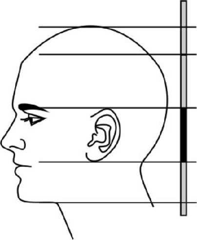 Иллюстрация к книге — Читай лица! Специальная методика чтения лиц и эмоций [i_456.jpg]