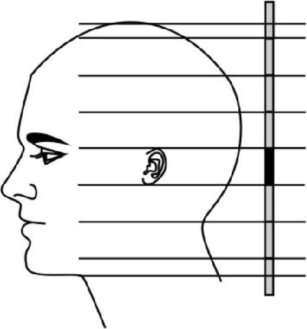 Иллюстрация к книге — Читай лица! Специальная методика чтения лиц и эмоций [i_457.jpg]