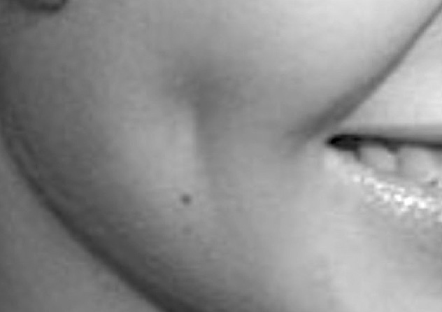 Иллюстрация к книге — Читай лица! Специальная методика чтения лиц и эмоций [i_505.jpg]