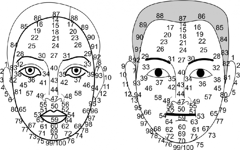 Иллюстрация к книге — Читай лица! Специальная методика чтения лиц и эмоций [i_516.jpg]