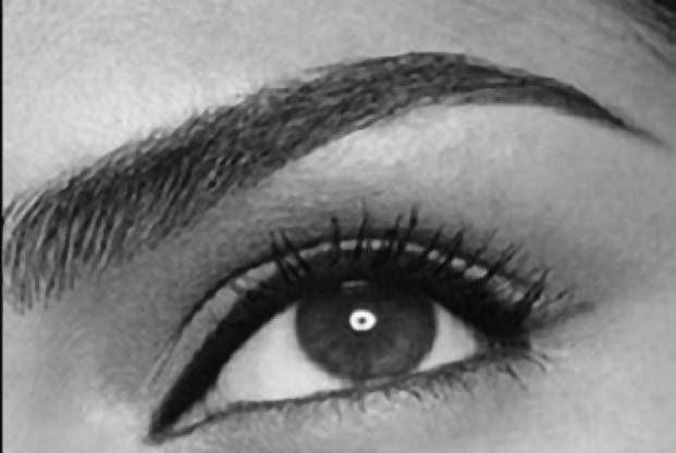 Иллюстрация к книге — Читай лица! Специальная методика чтения лиц и эмоций [i_527.jpg]