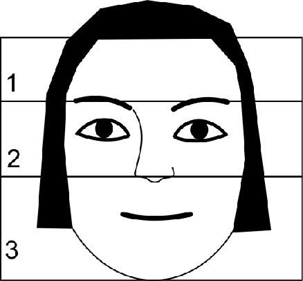 Иллюстрация к книге — Читай лица! Специальная методика чтения лиц и эмоций [i_554.jpg]