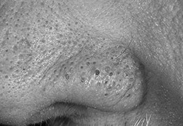 Иллюстрация к книге — Читай лица! Специальная методика чтения лиц и эмоций [i_560.jpg]