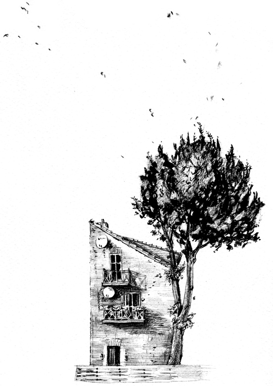 Иллюстрация к книге — Сказки старого Вильнюса VI [i_004.jpg]