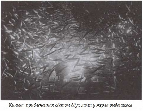 Иллюстрация к книге — Подводная одиссея. &quot;Северянка&quot; штурмует океан [i_030.jpg]