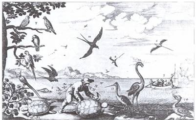 Иллюстрация к книге — Знаменитые морские разбойники. От викингов до пиратов [i_008.jpg]