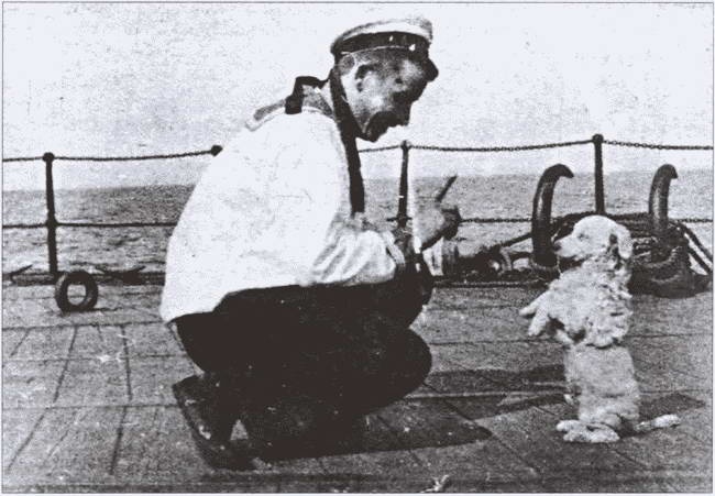 Иллюстрация к книге — На вахте и на гауптвахте. Русский матрос от Петра Великого до Николая Второго [i_016.jpg]