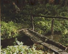 Иллюстрация к книге — Ох, охота! [i_001.jpg]