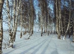 Иллюстрация к книге — Ох, охота! [i_014.jpg]