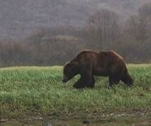 Иллюстрация к книге — Ох, охота! [i_016.jpg]