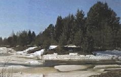 Иллюстрация к книге — Ох, охота! [i_032.jpg]