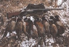 Иллюстрация к книге — Ох, охота! [i_037.jpg]