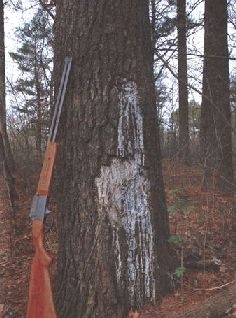 Иллюстрация к книге — Ох, охота! [i_050.jpg]