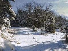 Иллюстрация к книге — Ох, охота! [i_072.jpg]