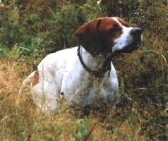 Иллюстрация к книге — Ох, охота! [i_109.jpg]