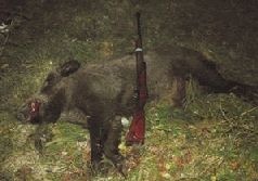 Иллюстрация к книге — Ох, охота! [i_127.jpg]