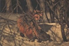 Иллюстрация к книге — Ох, охота! [i_140.jpg]