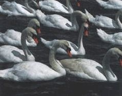 Иллюстрация к книге — Ох, охота! [i_154.jpg]