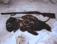 Иллюстрация к книге — Ох, охота! [i_162.jpg]